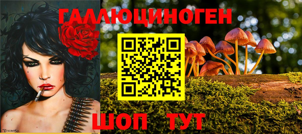 Галлюциногенные грибы Psilocybine cubensis  Москва 