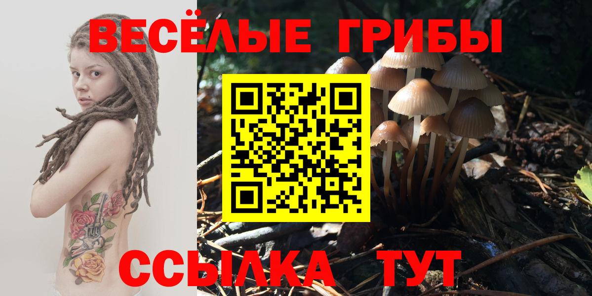 Псилоцибиновые грибы мухоморы Москва