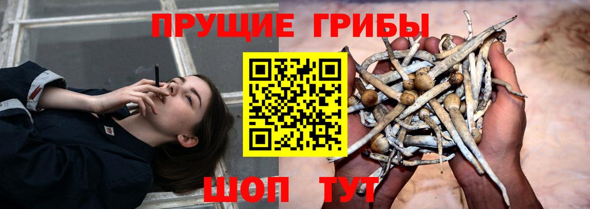 Галлюциногенные грибы прущие грибы  Вход с VPN  наркошоп  Москва 