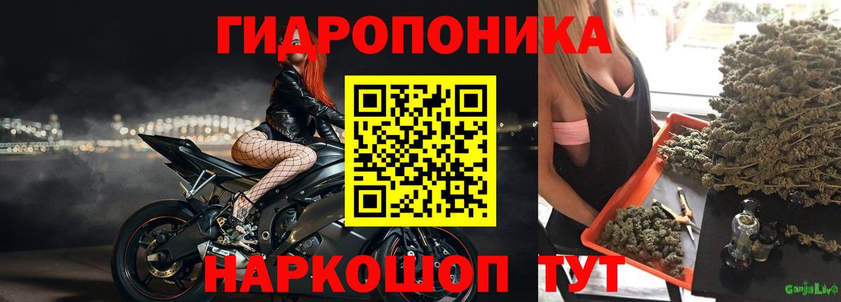 МАРИХУАНА LSD WEED  Москва  Конопля планчик  Каннабис конопля 